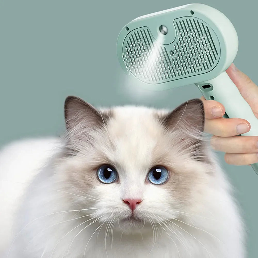 SteamCare Pro™ – המברשת שהופכת מאבק יומי לחוויית טיפוח רגועה ונעימה