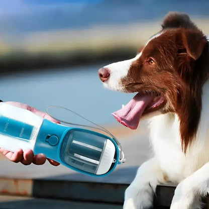 PawGo™ - הכל במקום אחד. השקט בידיים שלך.