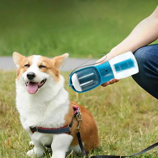 PawGo™ - הכל במקום אחד. השקט בידיים שלך.