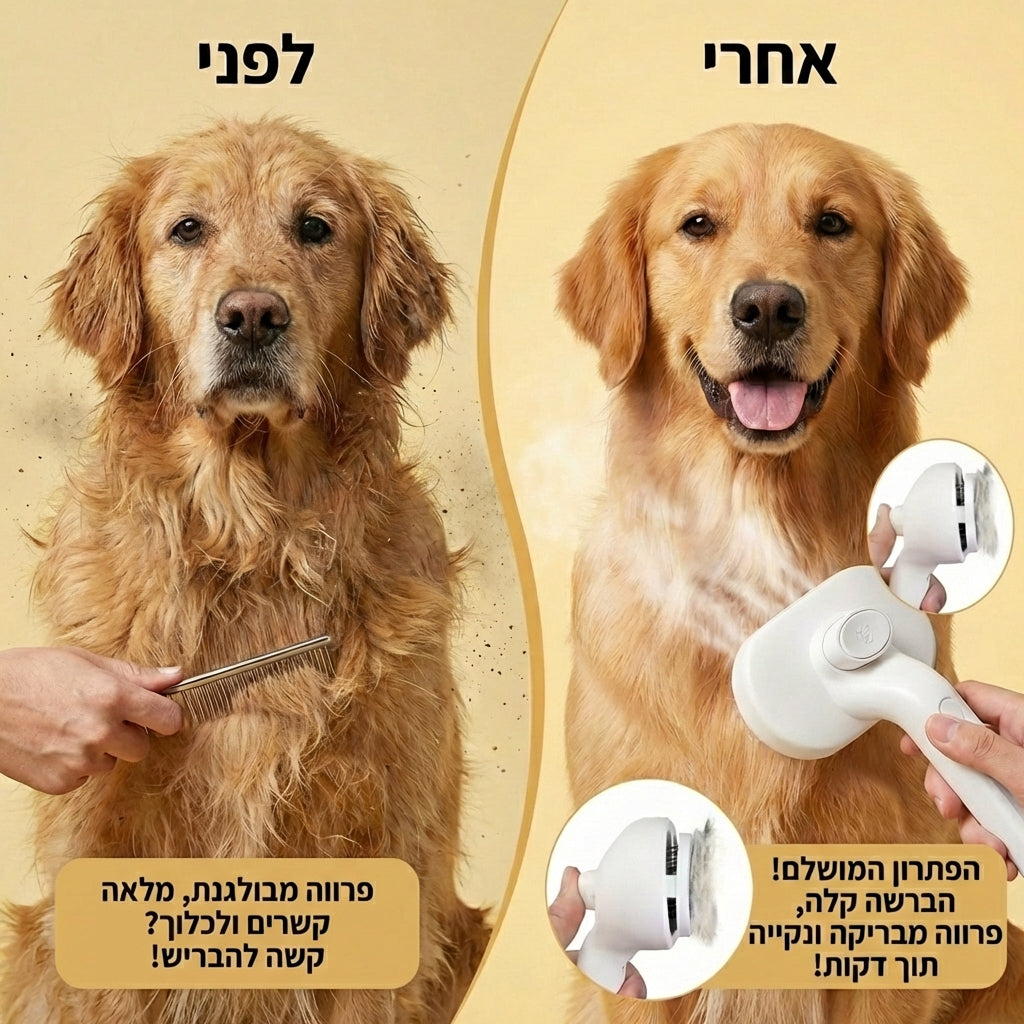 SteamCare Pro™ – המברשת שהופכת מאבק יומי לחוויית טיפוח רגועה ונעימה